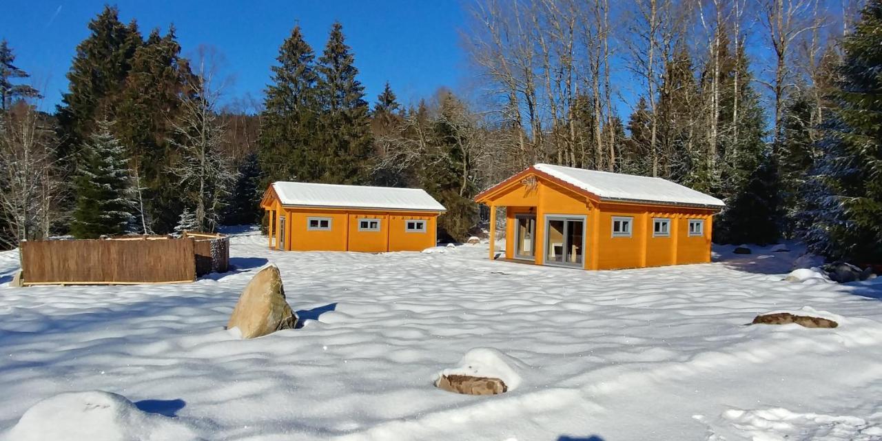 Chalet De Martimprey - Chalets - Gites - Chambres D' Hotes Et Spas Gérardmer Exterior foto