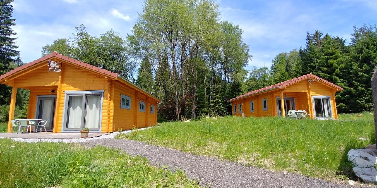 Chalet De Martimprey - Chalets - Gites - Chambres D' Hotes Et Spas Gérardmer Exterior foto