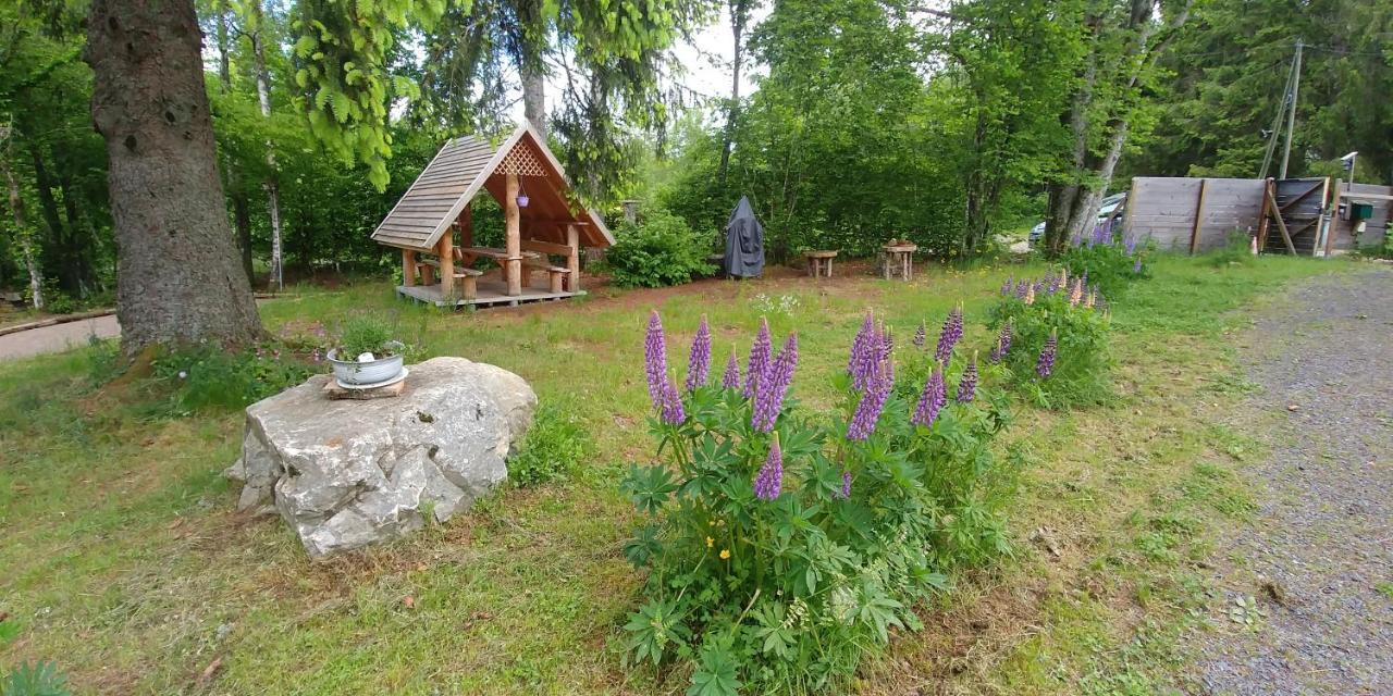 Chalet De Martimprey - Chalets - Gites - Chambres D' Hotes Et Spas Gérardmer Exterior foto